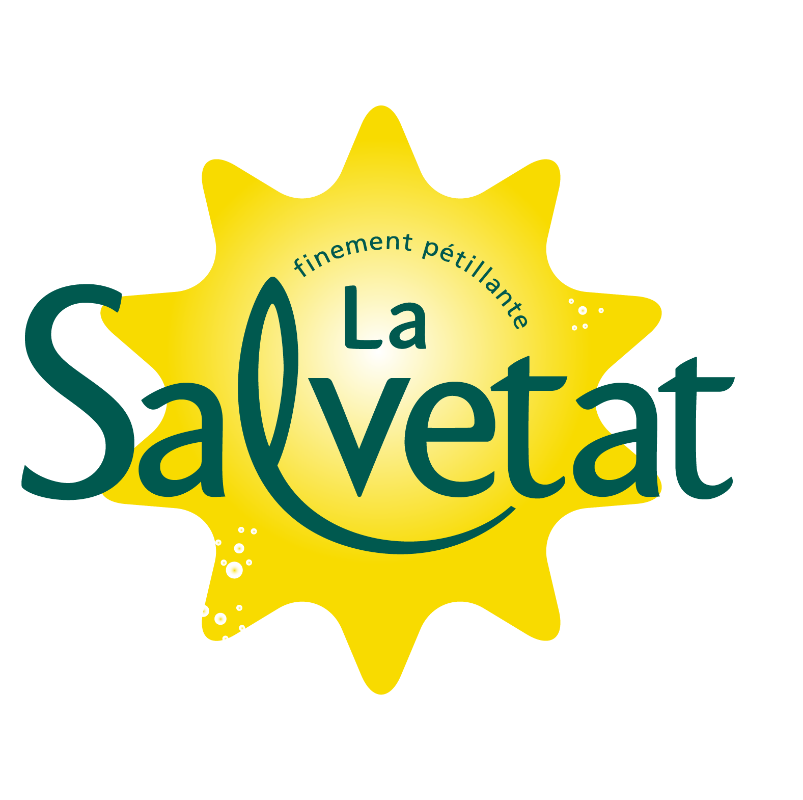 LaSalvetat_logo_T_RVB
